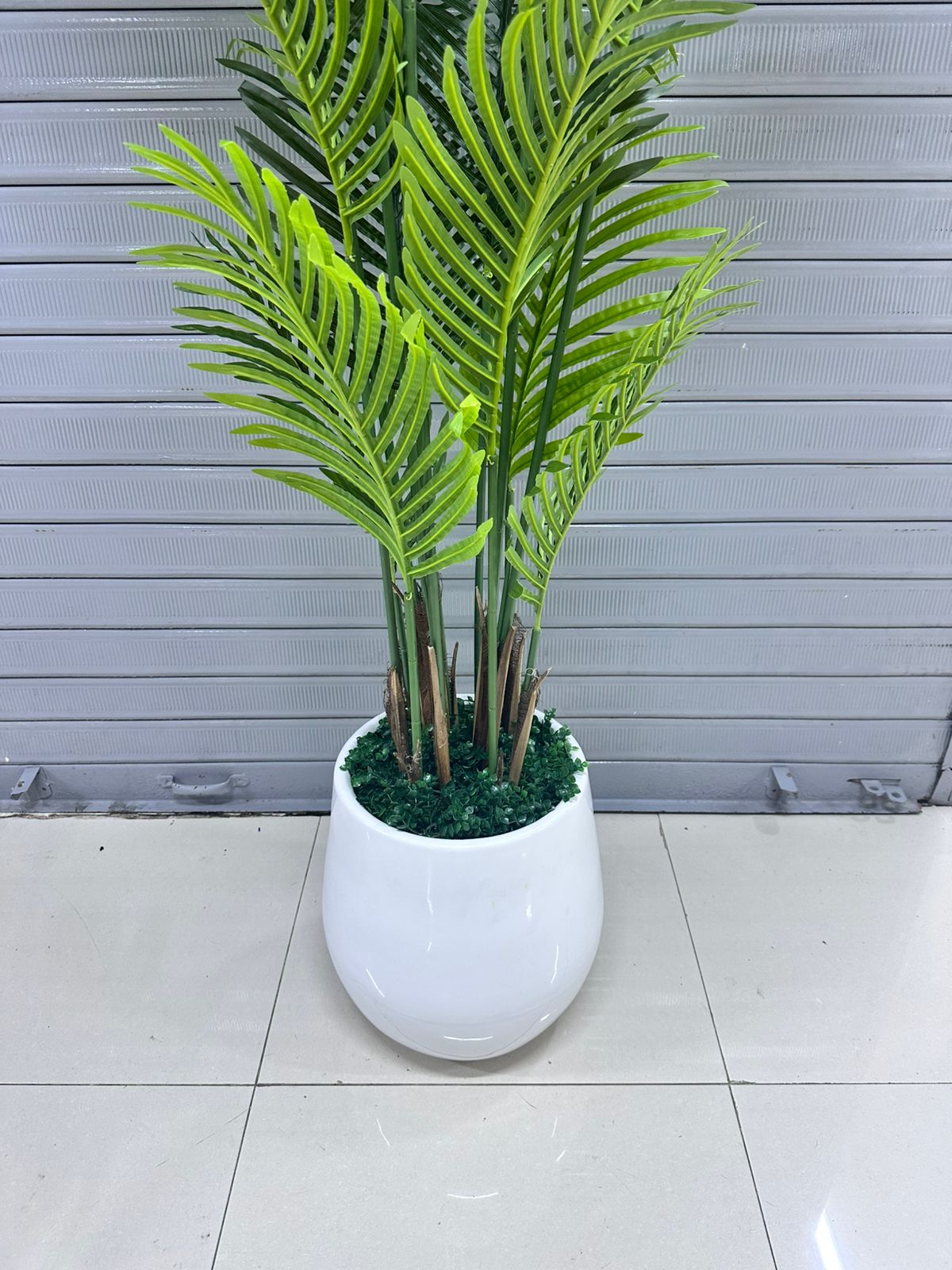 Palmera Areca + base de fibra de vidrio